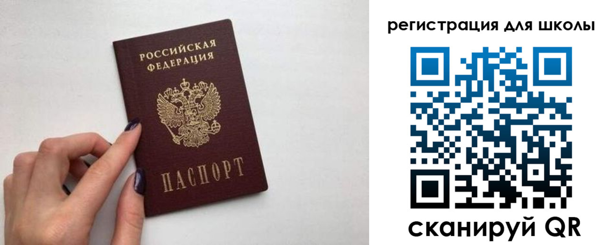 прописка поиск в Зеленоградске
